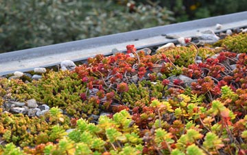 the cost of Long Meadowend green roof installation
