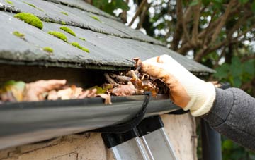 gutter cleaning Long Meadowend, Shropshire