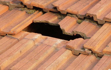 roof repair Long Meadowend, Shropshire